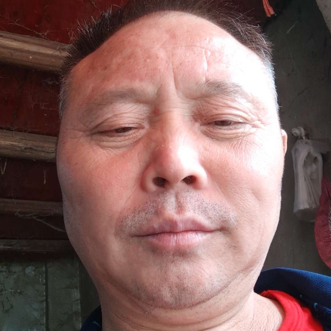 诚信的四哥的照片