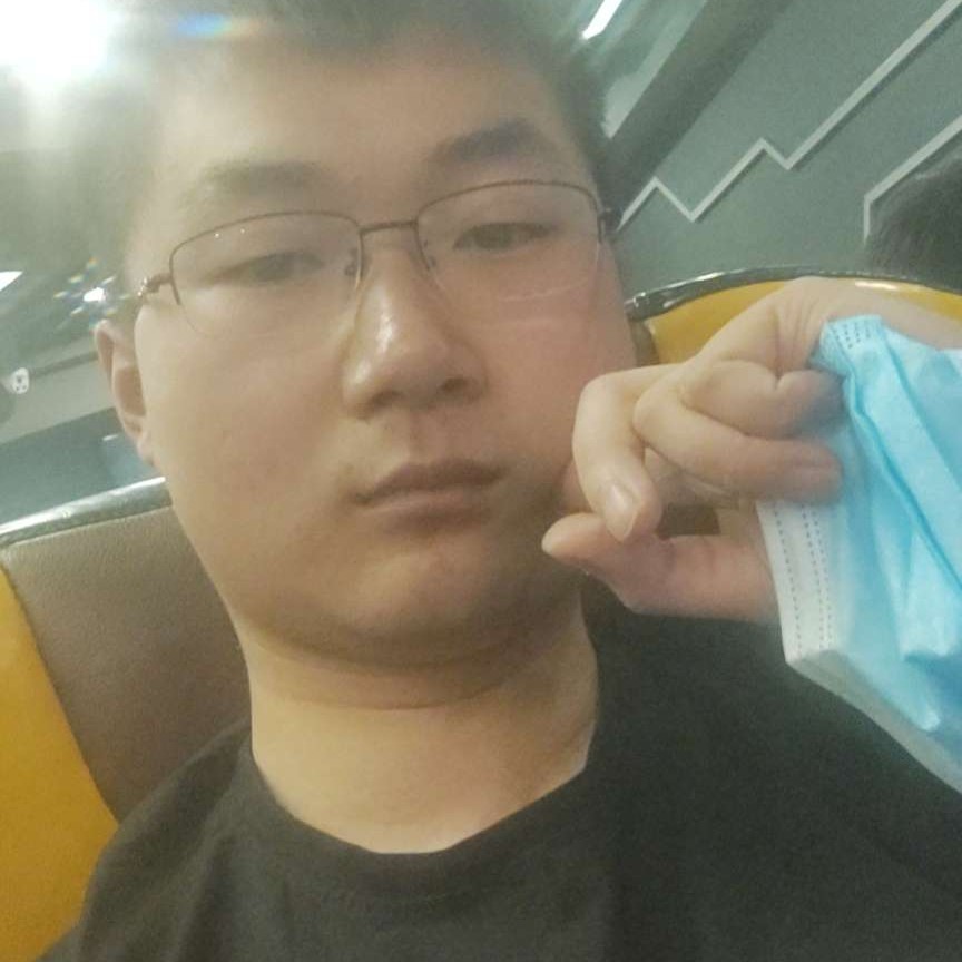 老实爱恋黄蜂的照片