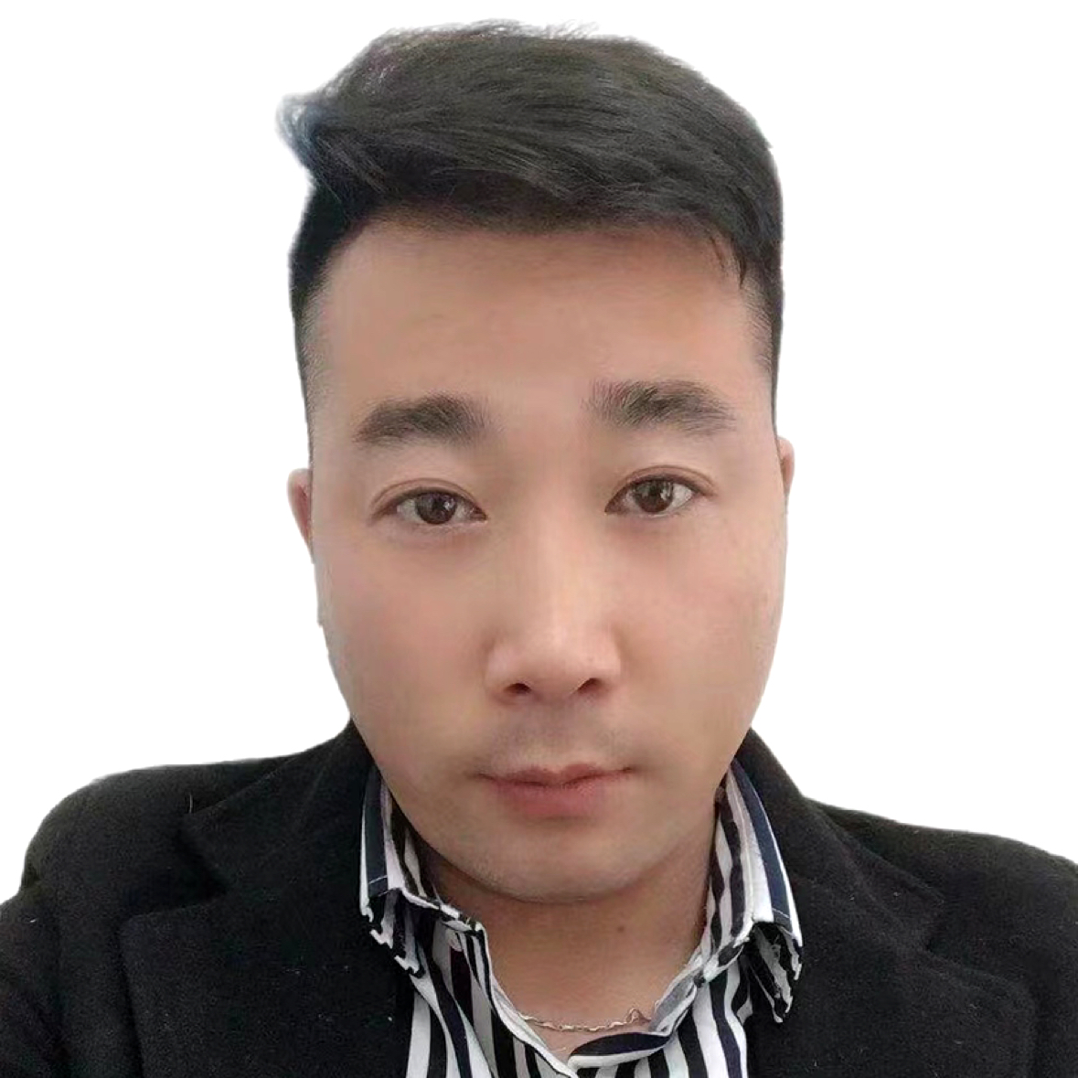 纵有疾风起的照片