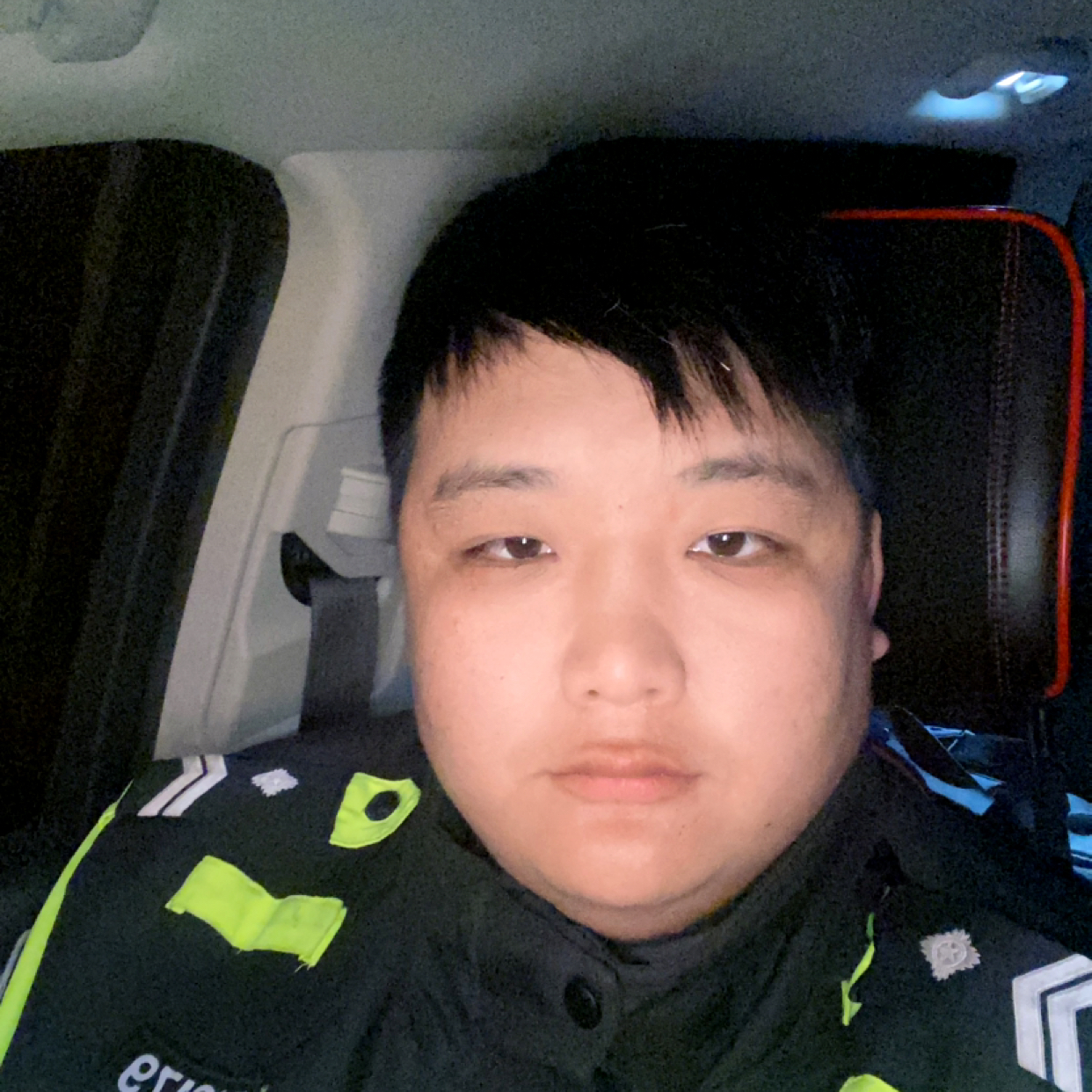 阳光下de草地的照片
