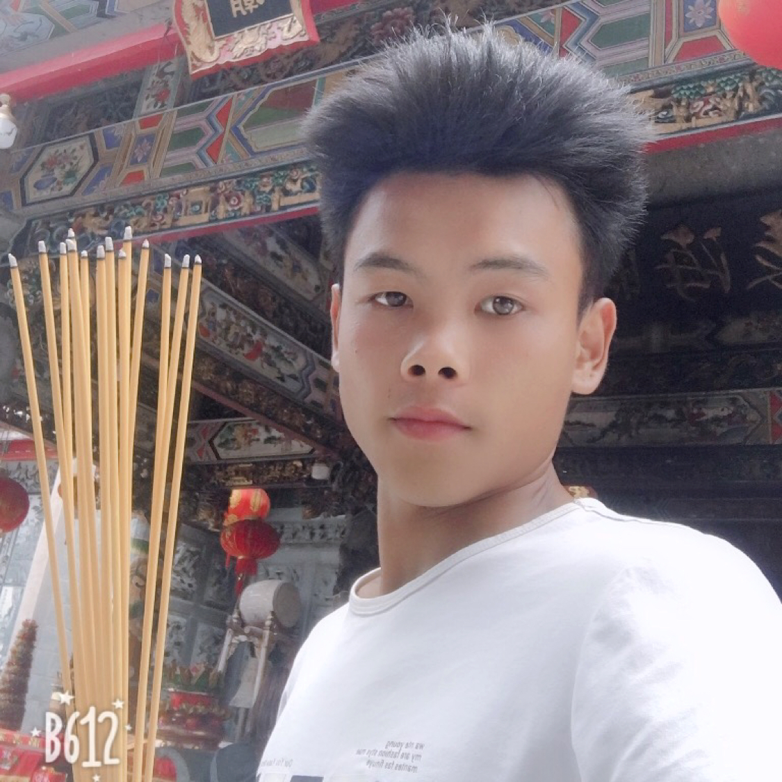 无私保卫小鸽子的照片