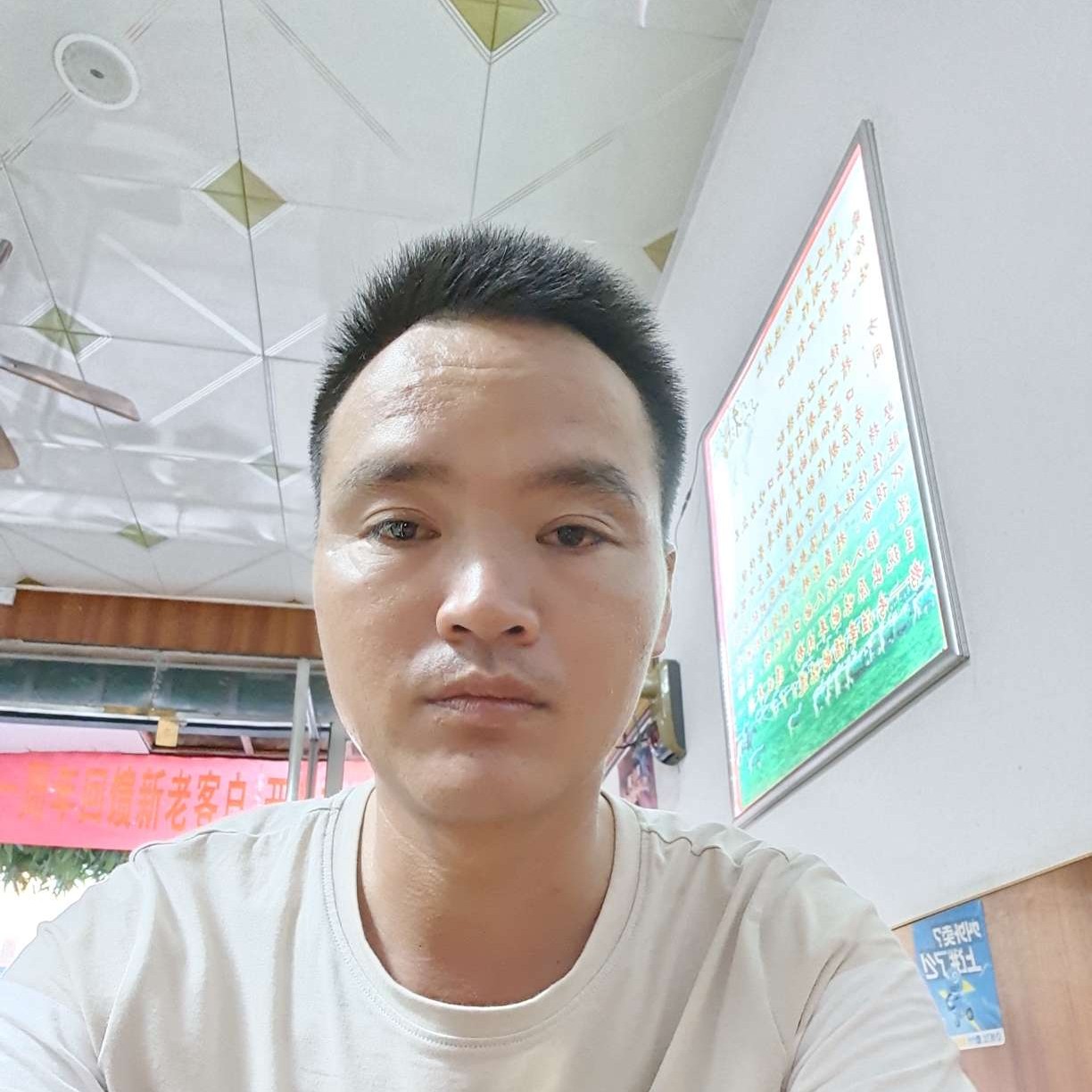 荼蘼苦恋浮生的照片
