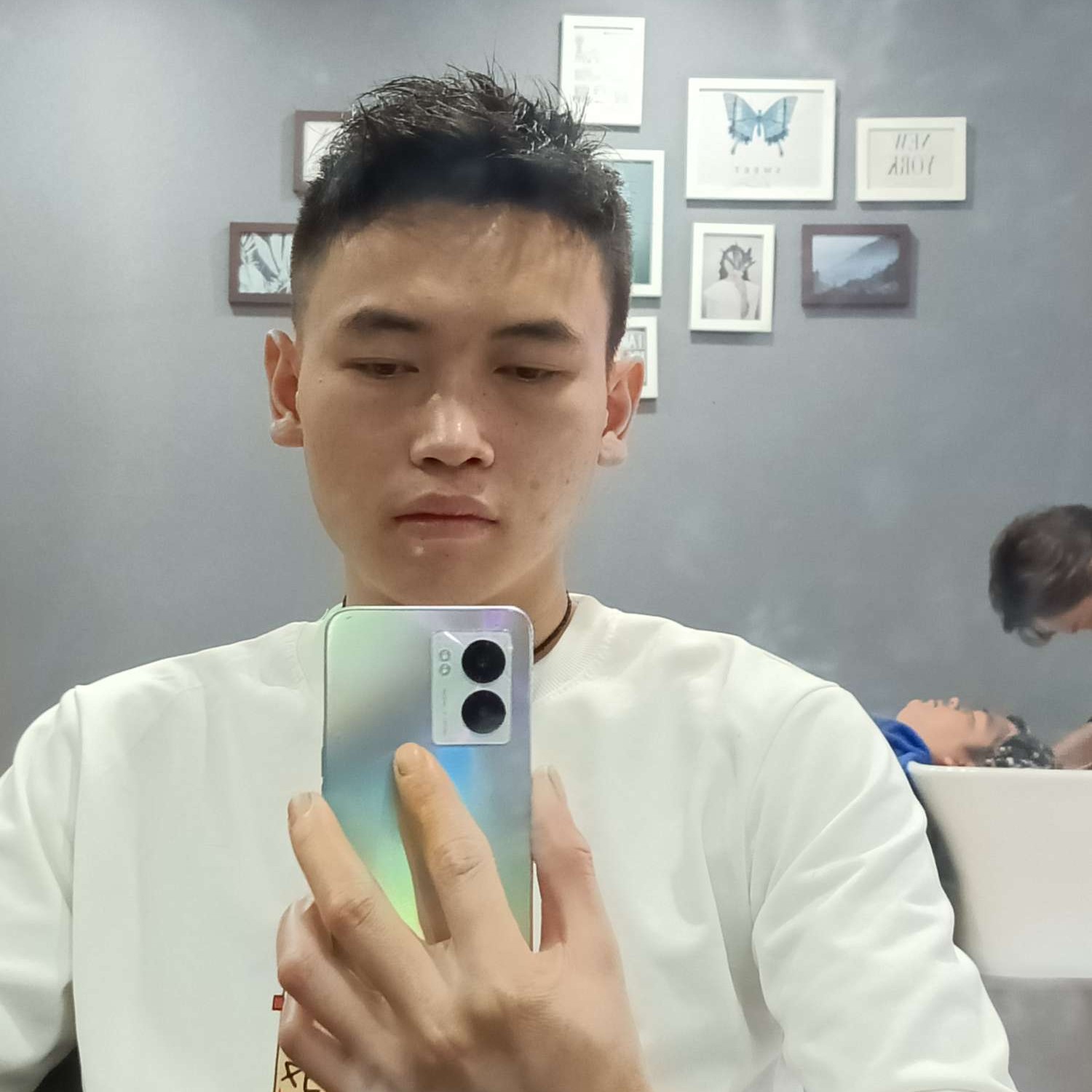 刺猬改变可靠的照片