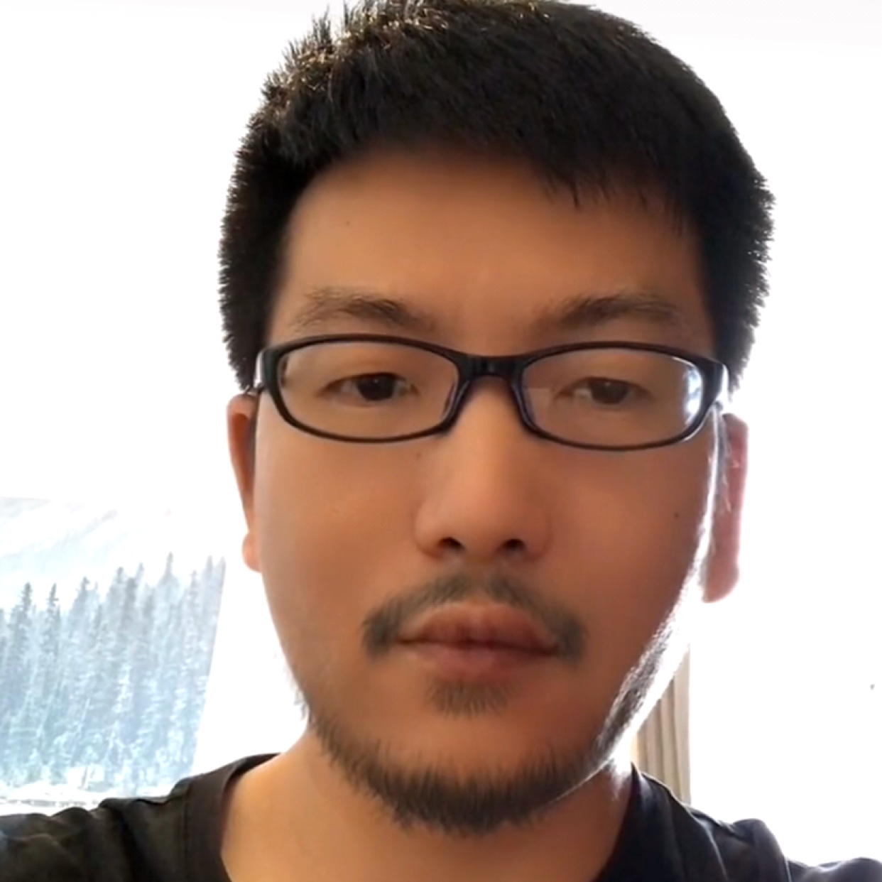 弗利萨的照片