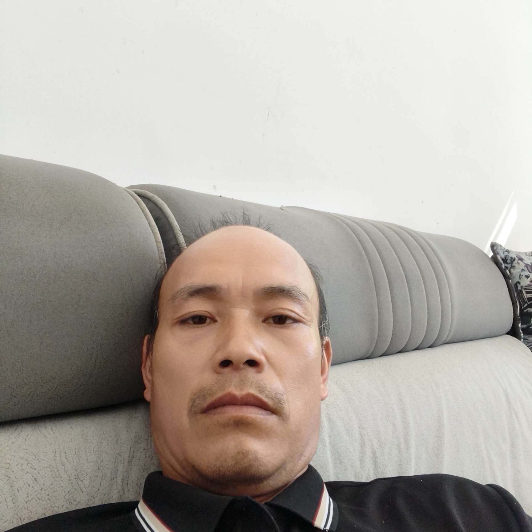 惟叹相逢晚的照片