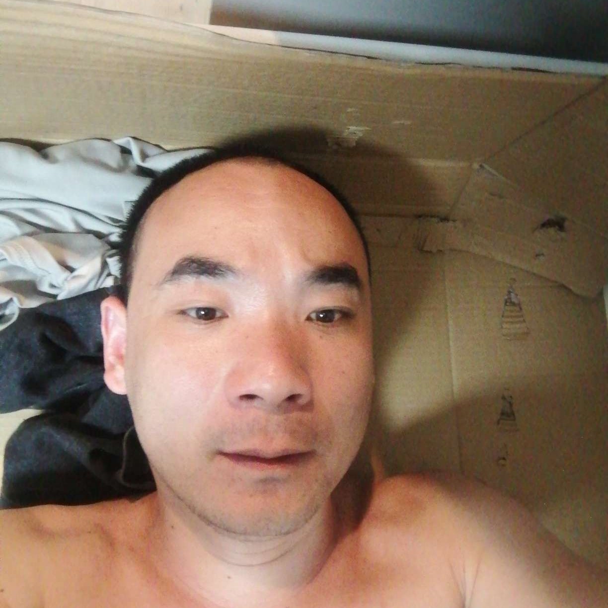 幽默回首向日葵的照片