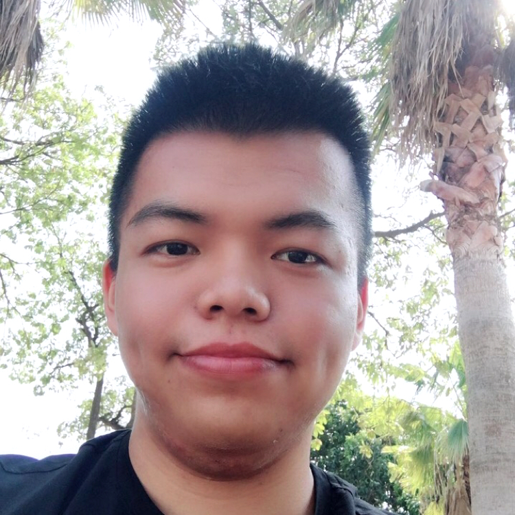 孤独寻觅的照片