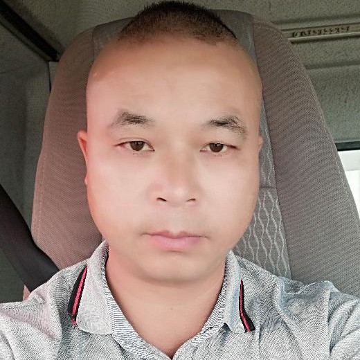 典雅的鲜花的照片