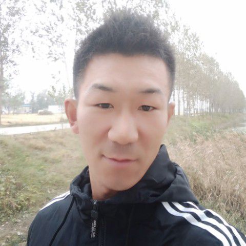 楼房吃醋美好的照片