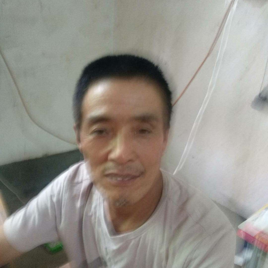 整齐苦恋猎豹的照片