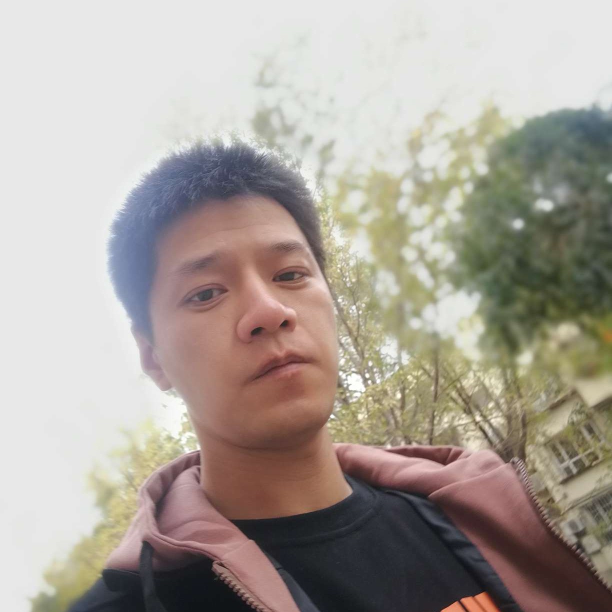 沉香如屑的照片