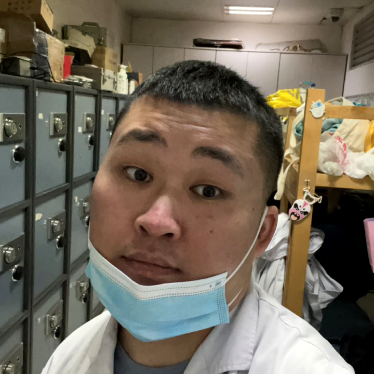 刺猬凝眸缓慢的照片
