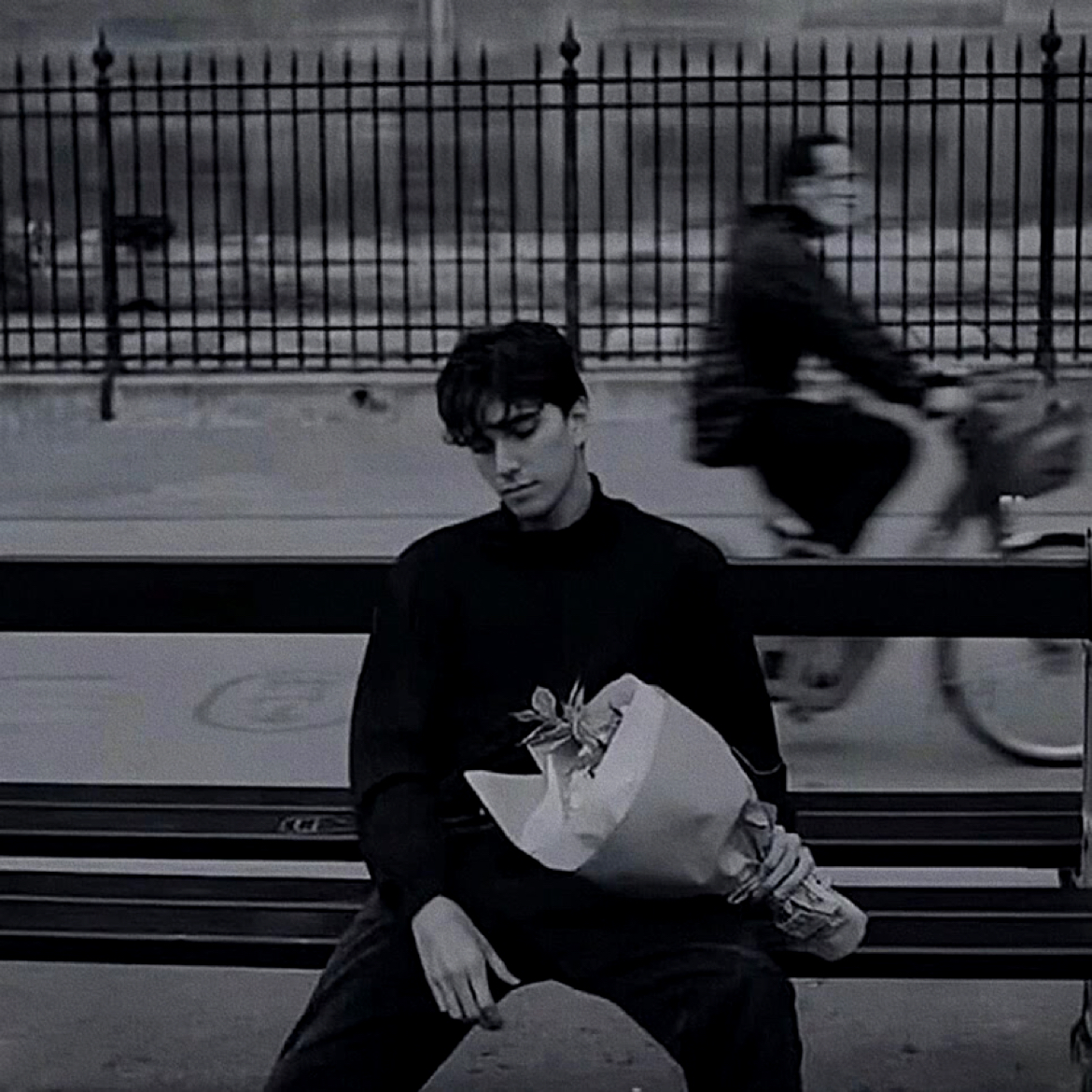 斯文打小松鼠的照片