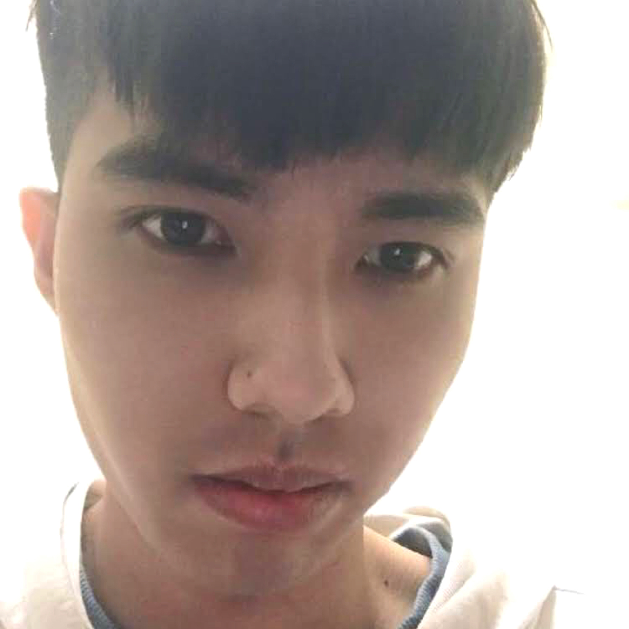 陽光普照的日子的照片