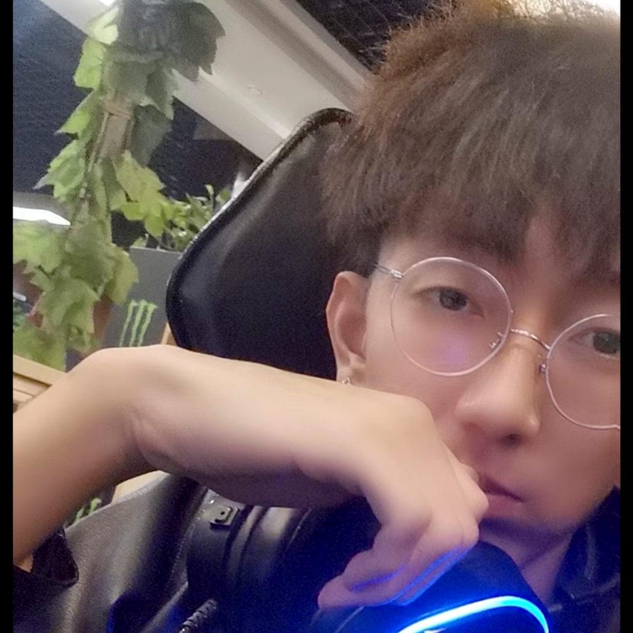 惰性蓝猫的照片