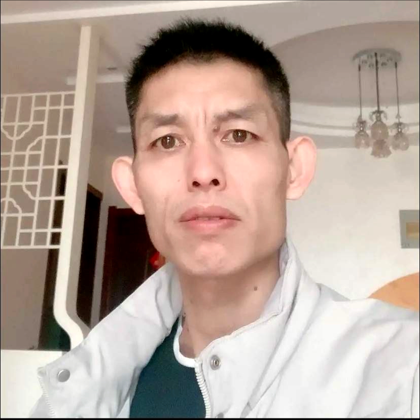 为你停留的照片