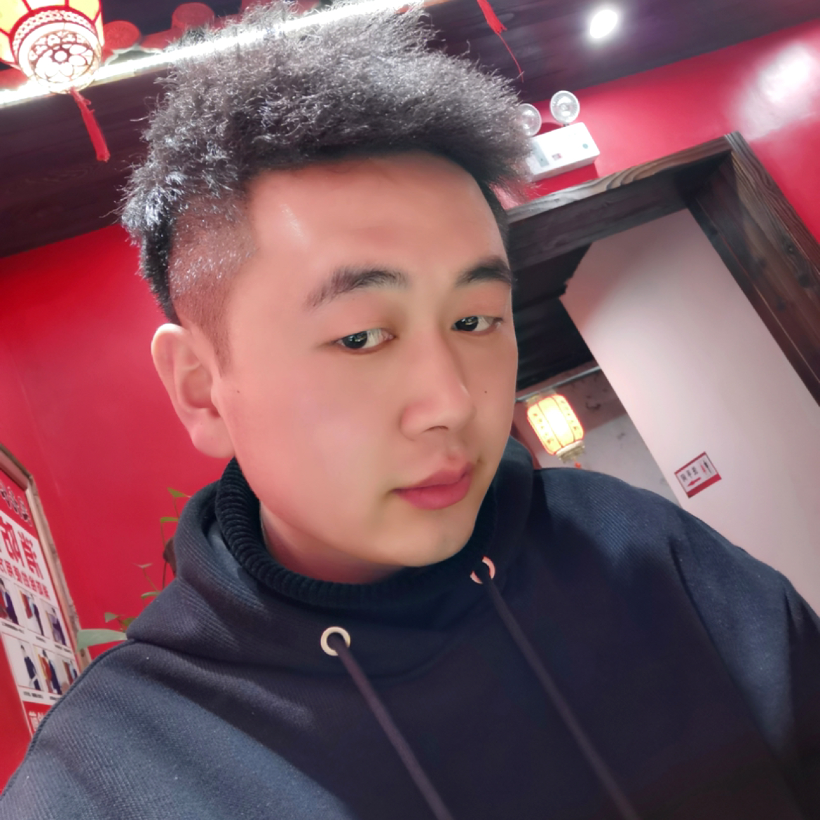 谨慎de麻雀的照片