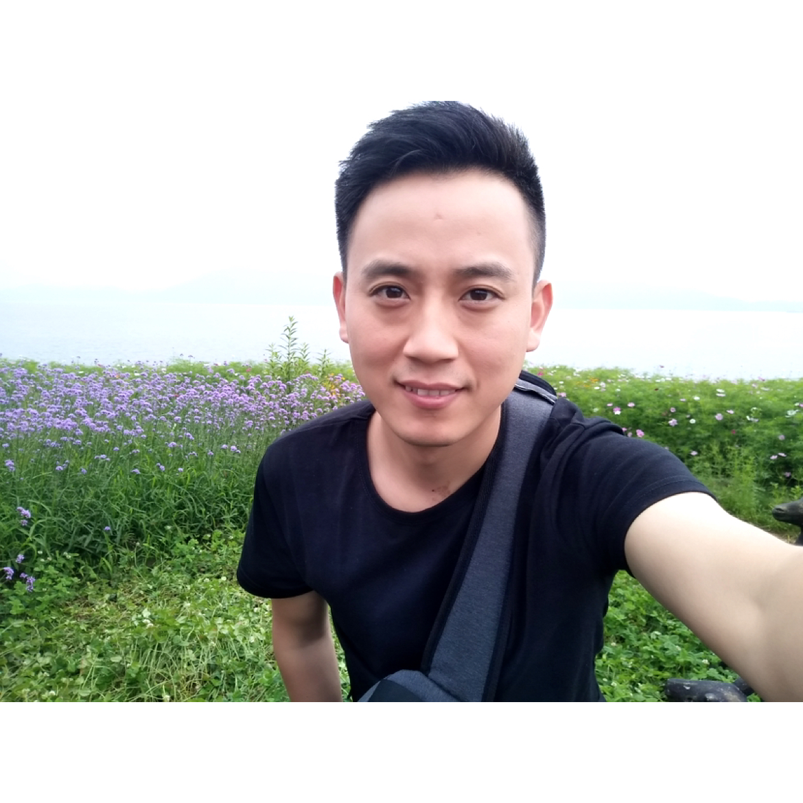 你de皂荚的照片