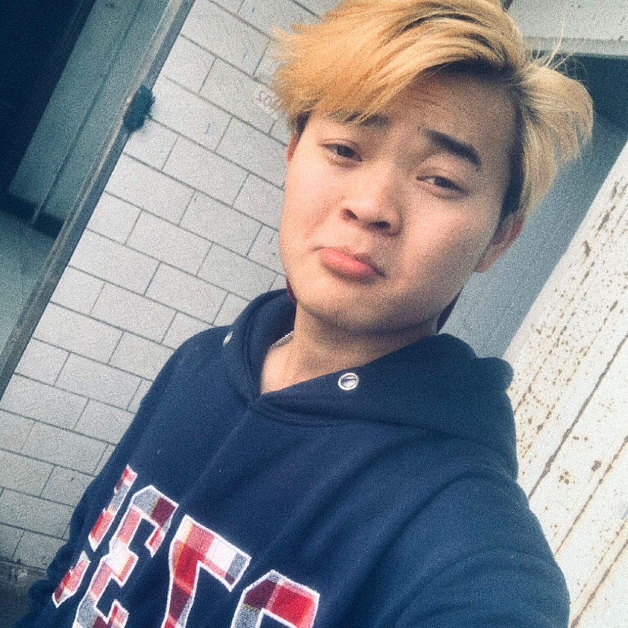 彩色de葡萄架的照片