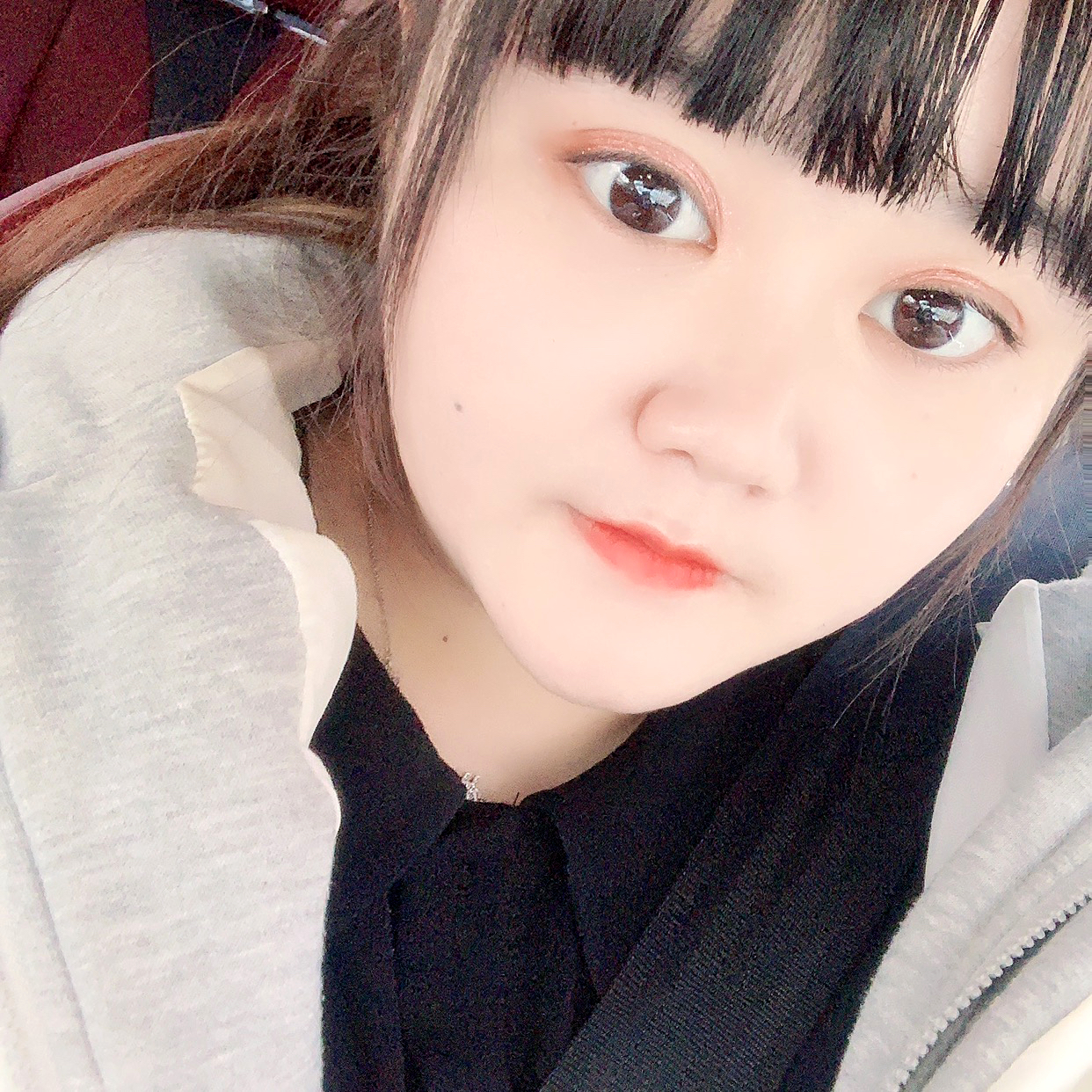 含羞草和纯情的照片