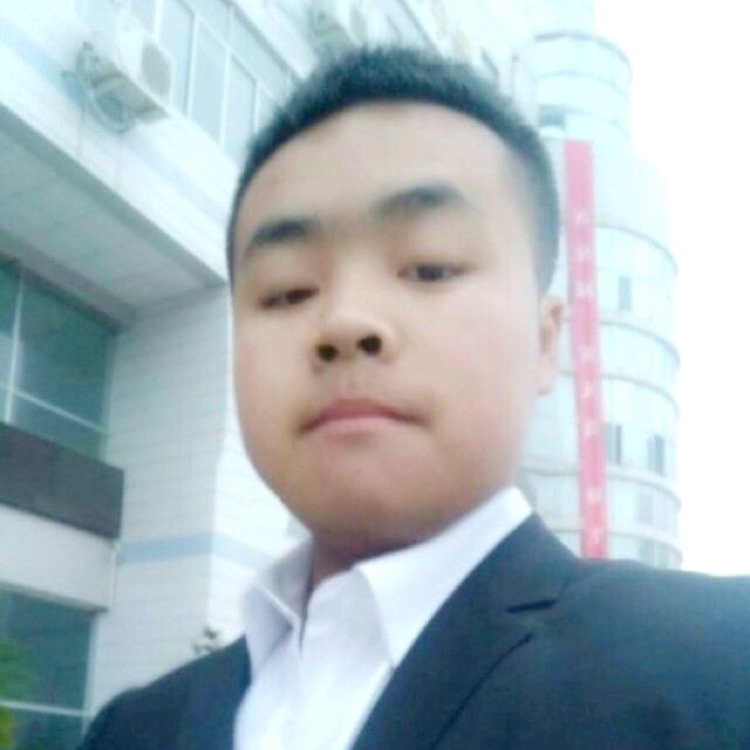 椰子树的照片