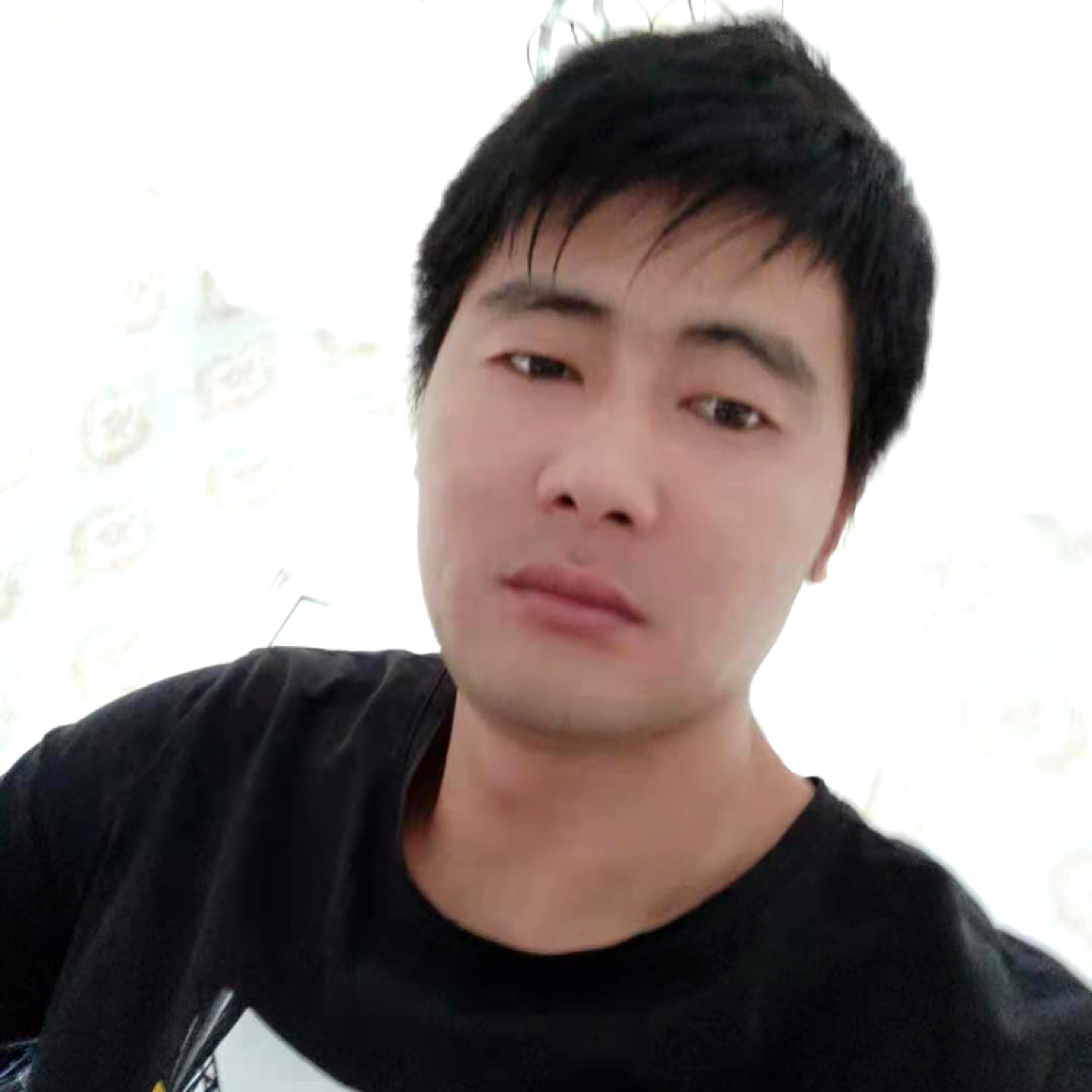 蜻蜓的英俊的照片