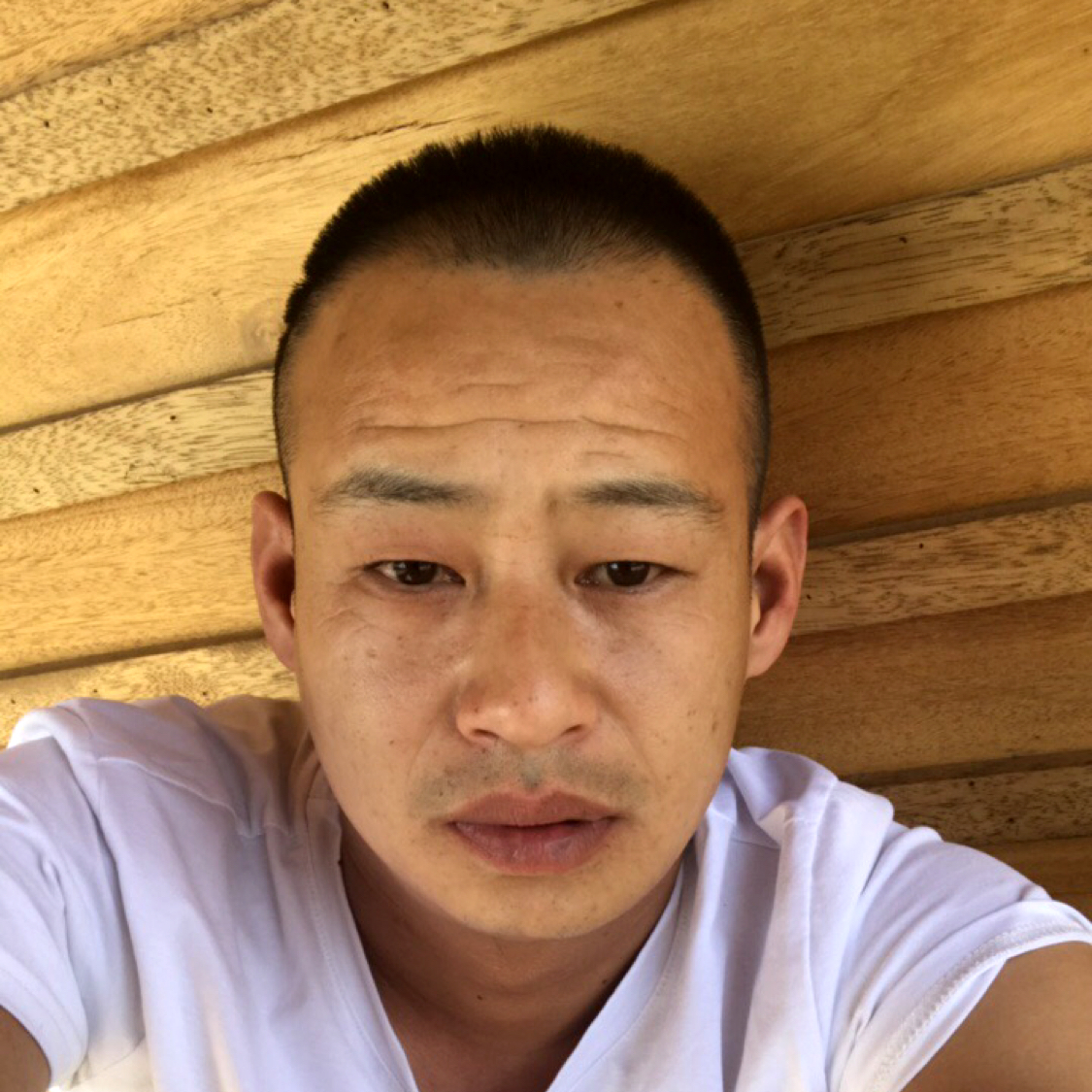 寻找相愛的的照片