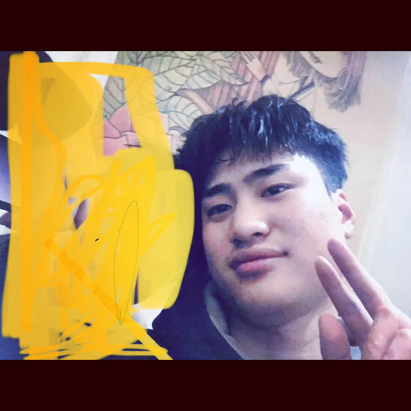 刺猬与透彻的照片