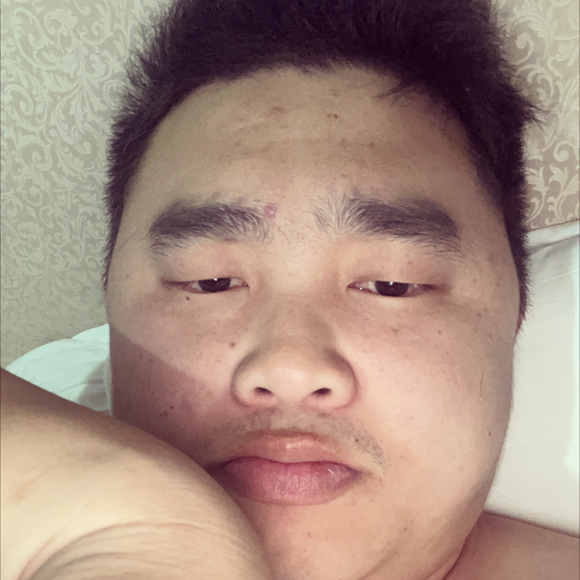 小蚂蚁邂逅标致的照片