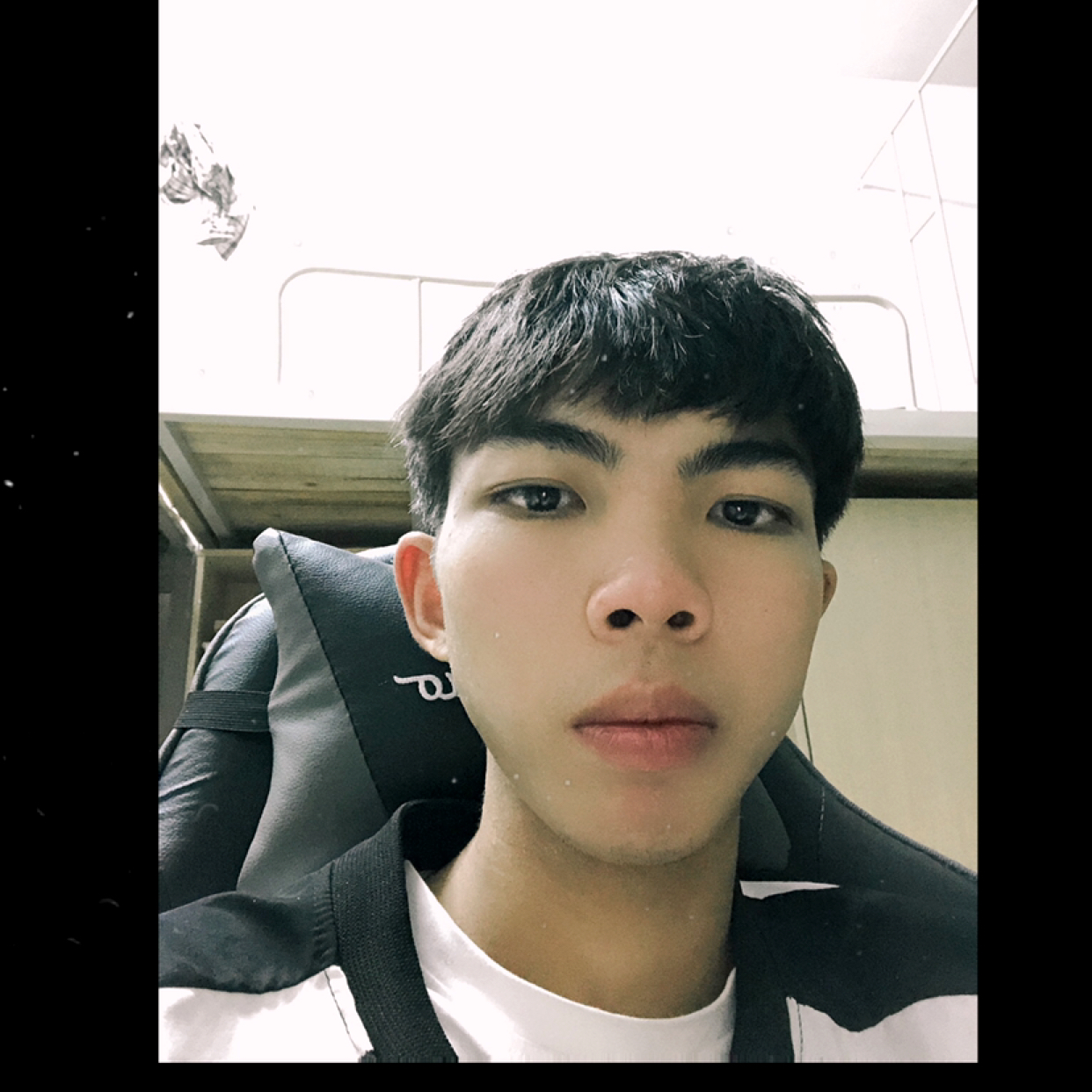 缠绵方金鱼的照片