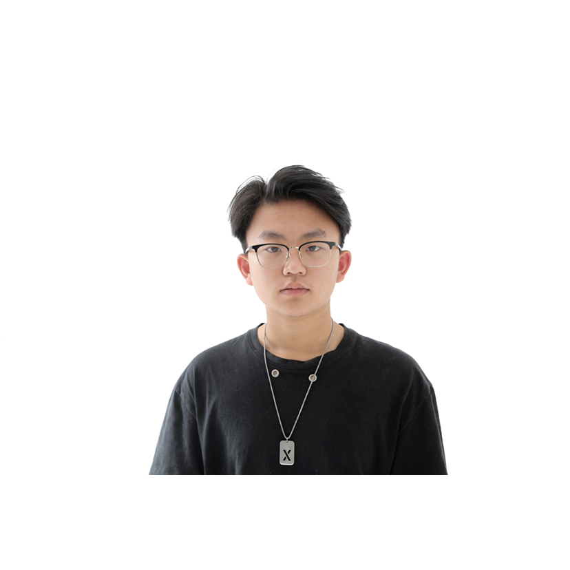 丸子小章鱼的照片