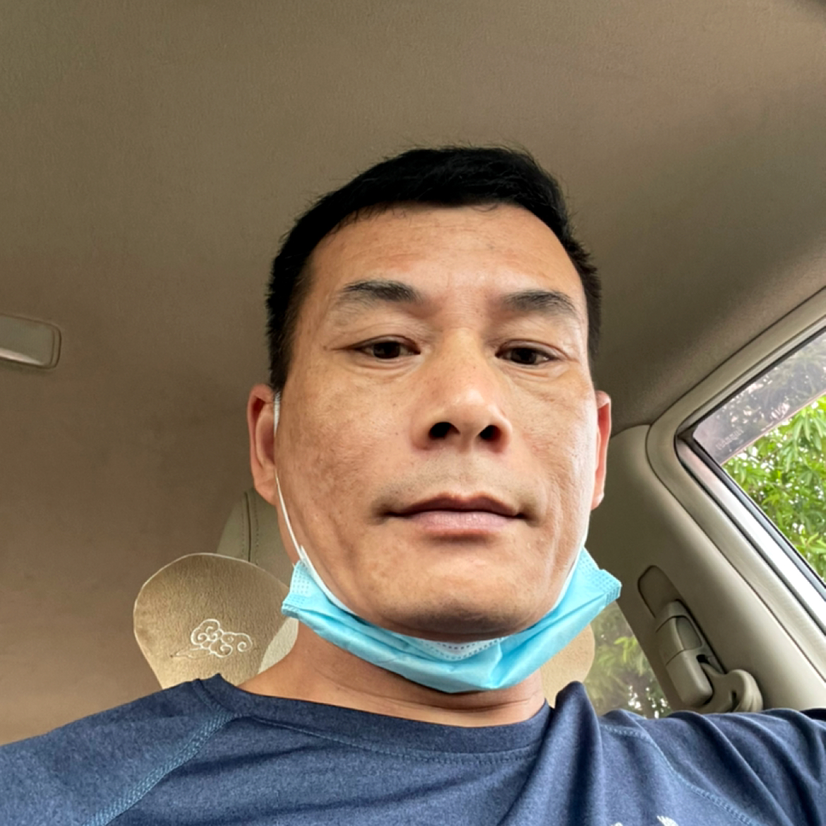 树叶倾心忧心的照片