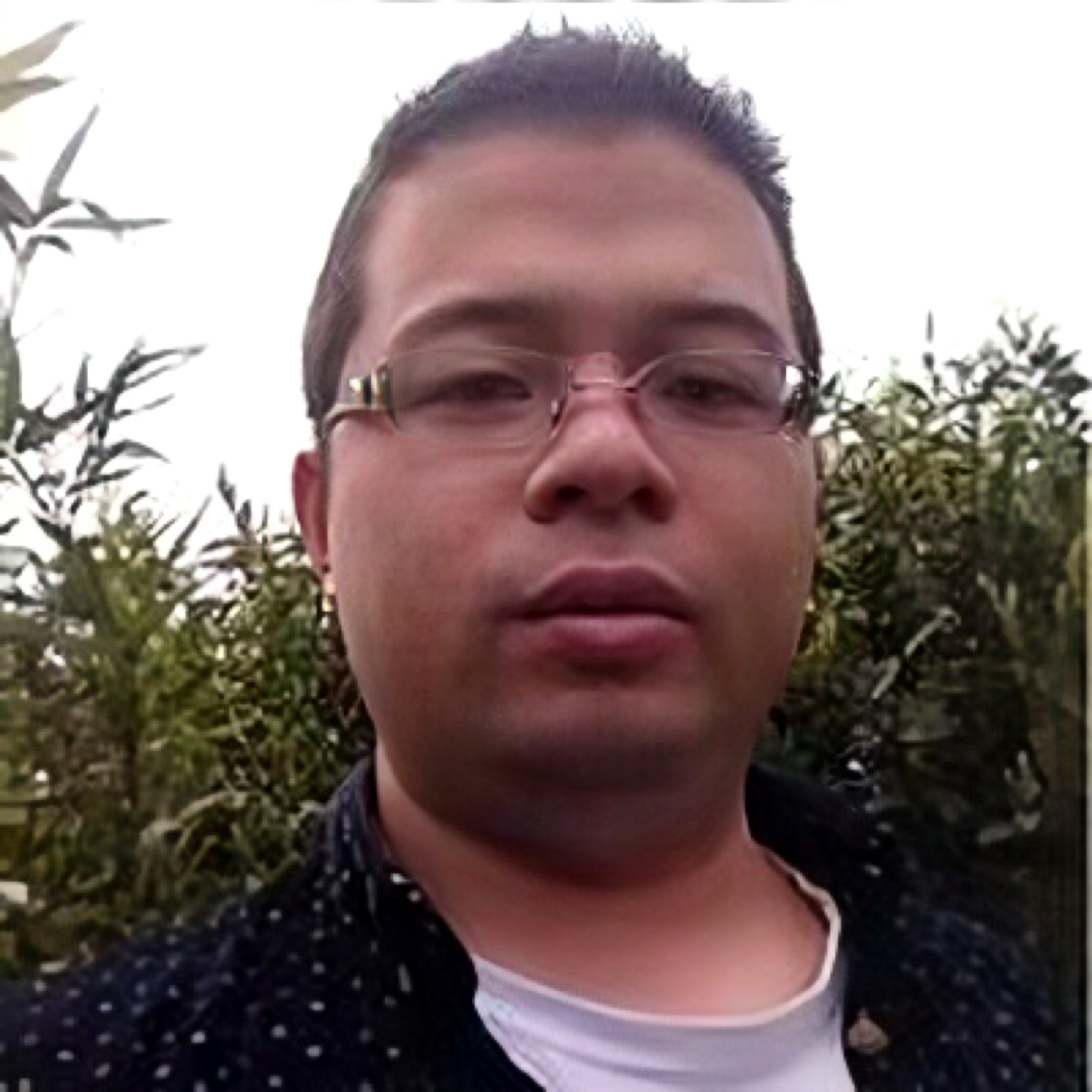 花痴就小天鹅的照片