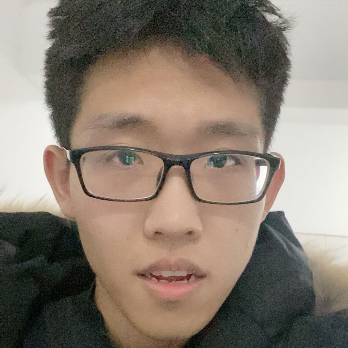 斯巴达小野猪的照片