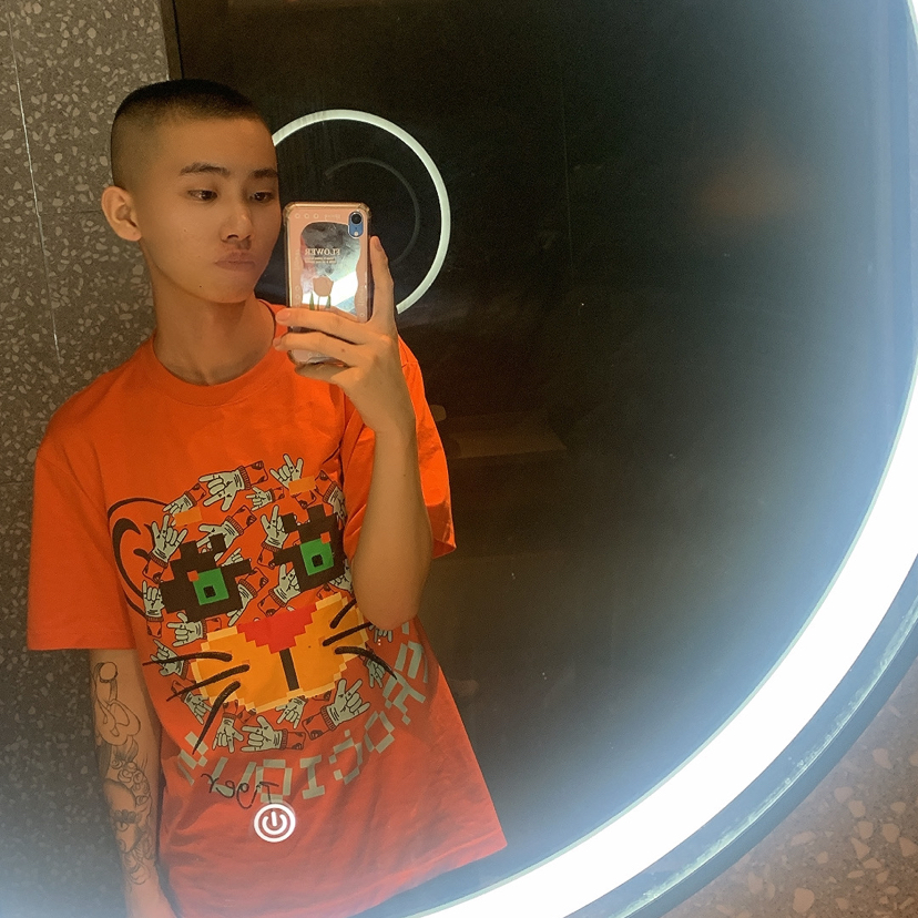 鲨 鱼的照片