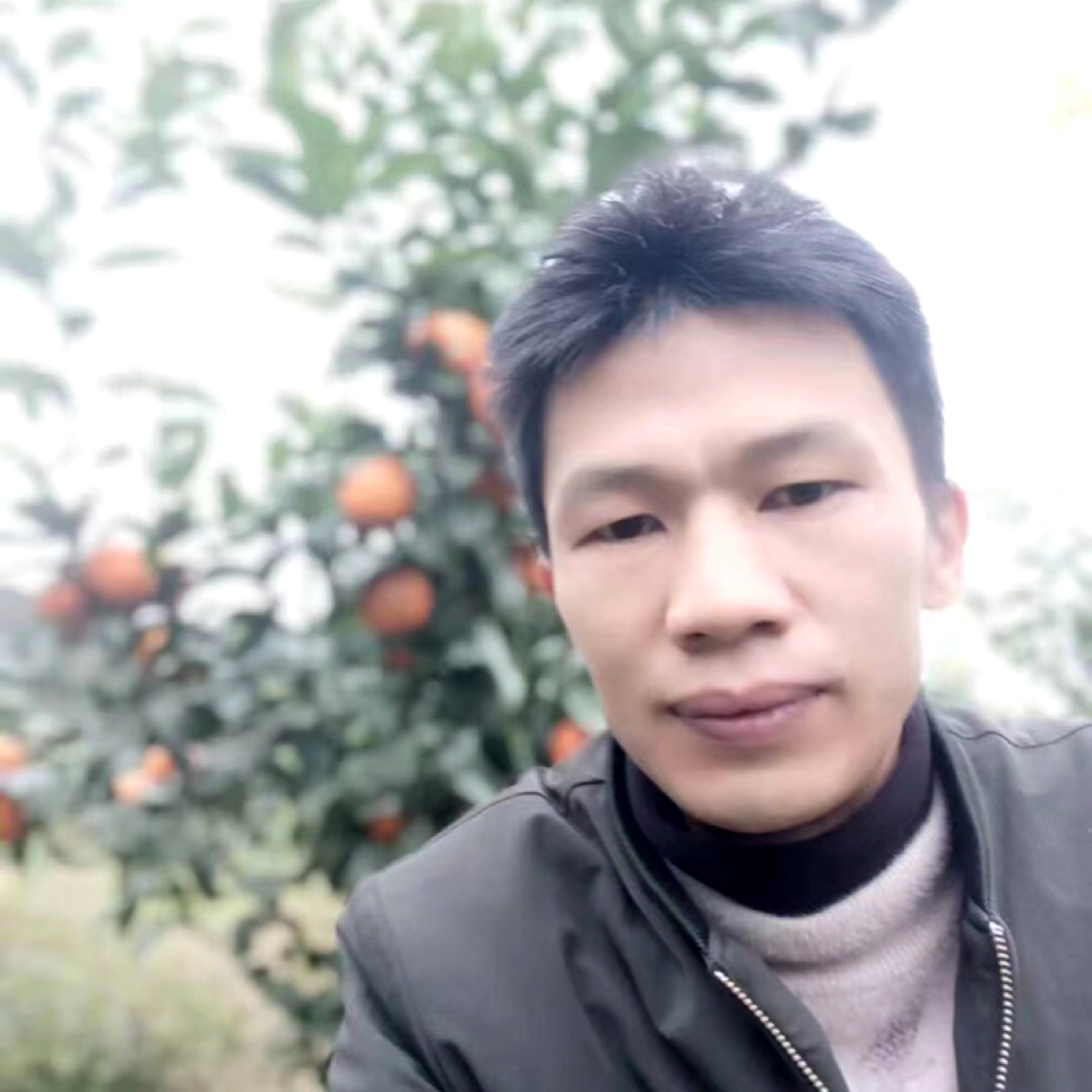 诚恳de黛安娜的照片