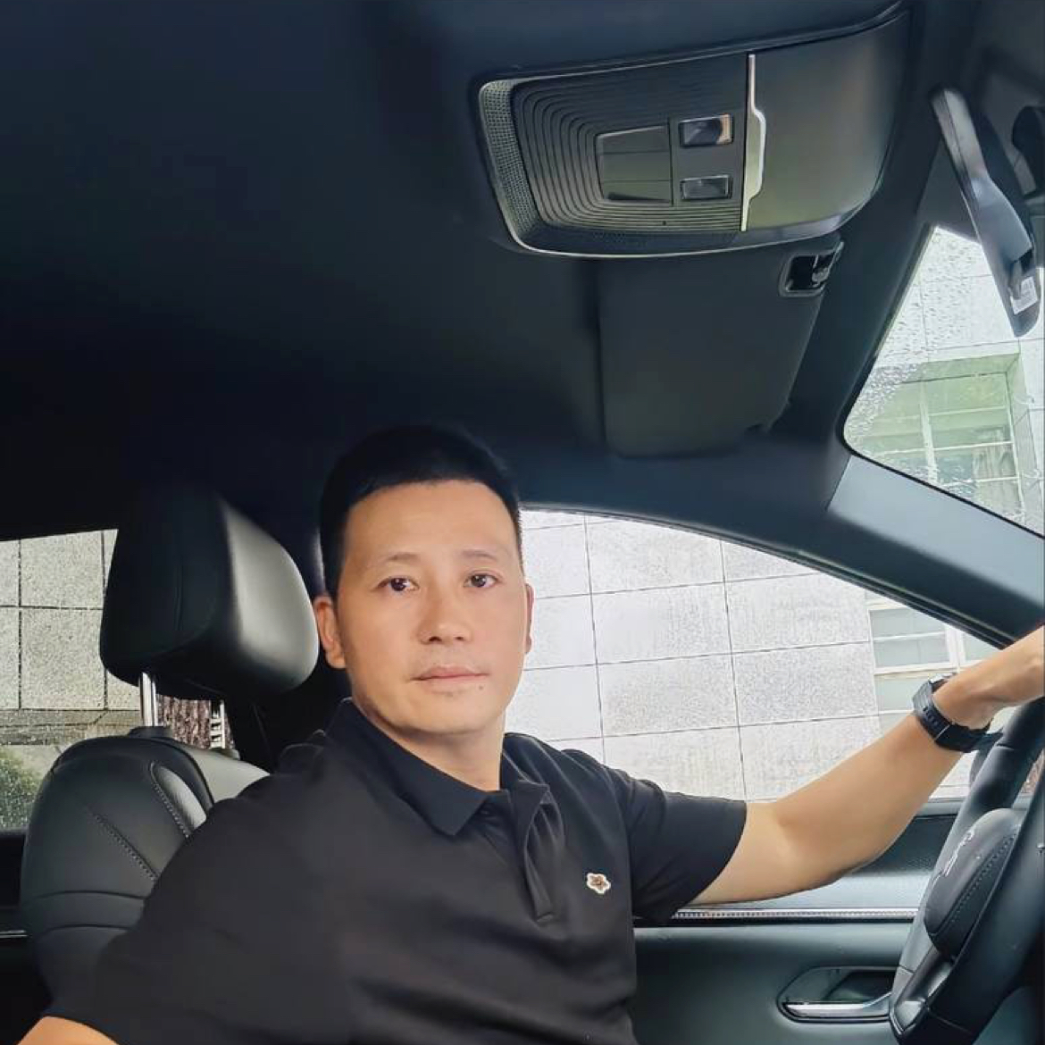 高冷的树的照片