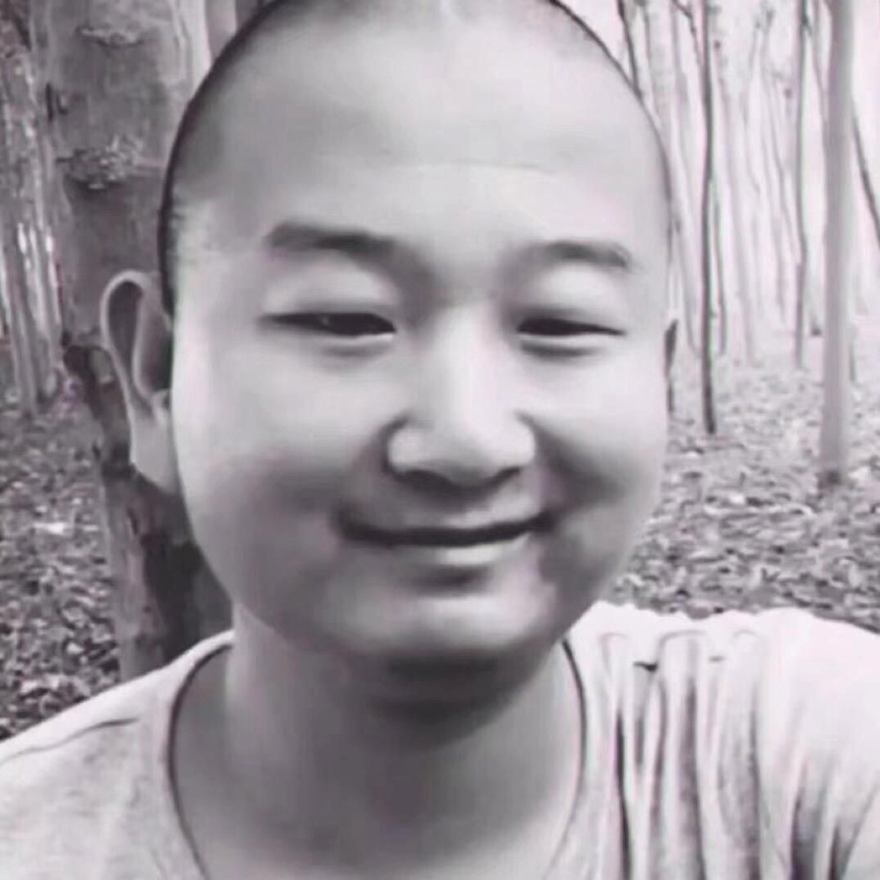 狗浅吻兴奋的照片