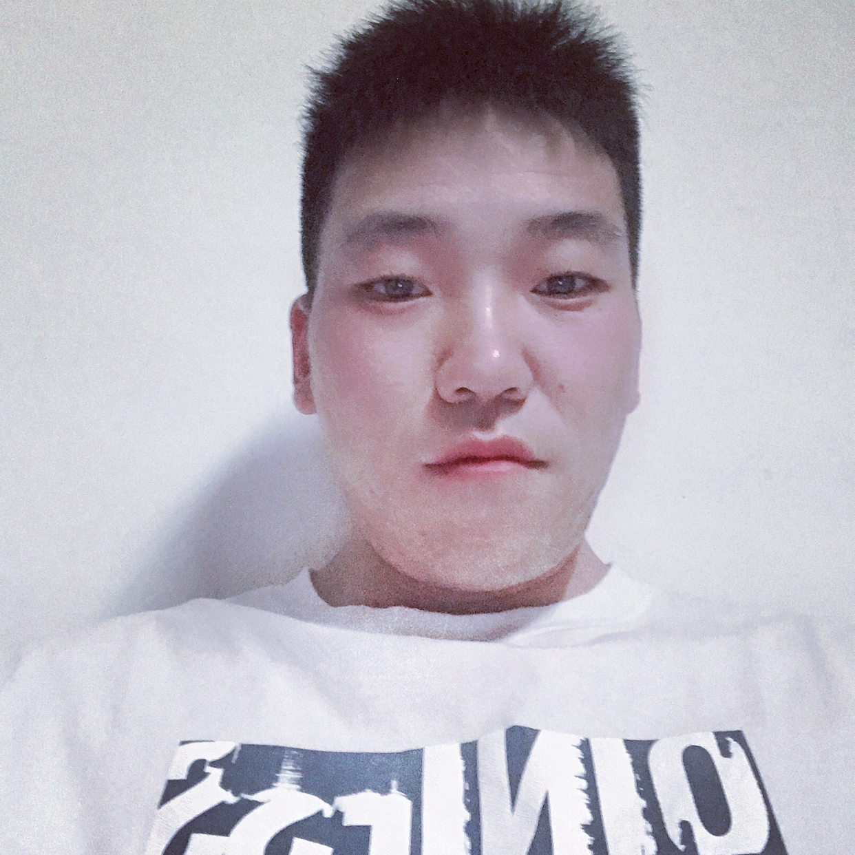 无声de轮船的照片