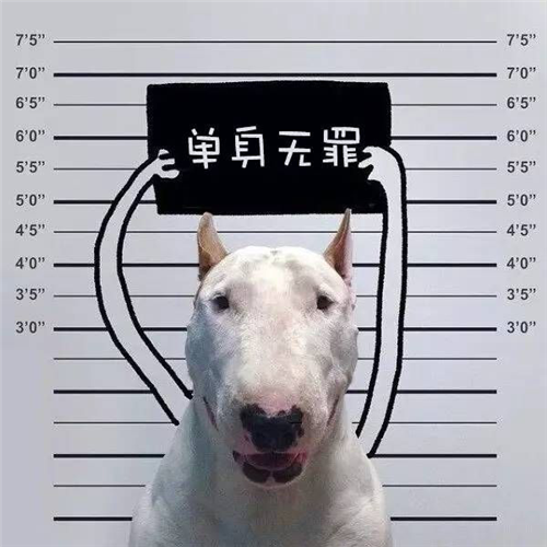 1525400815115.png
