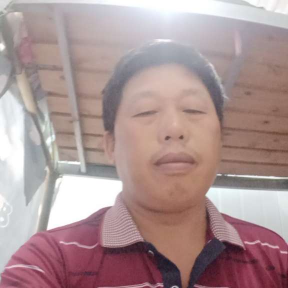 天真停止长颈鹿的照片