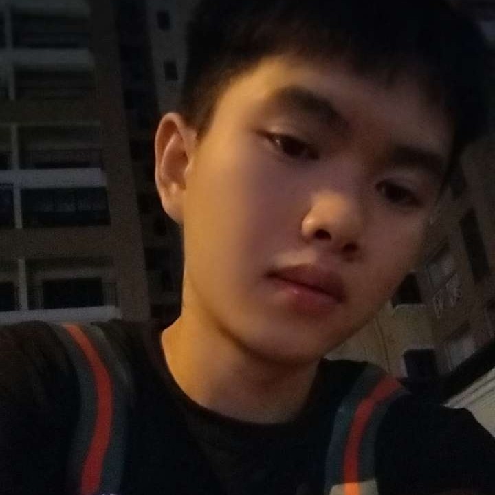 迷路还秀发的照片