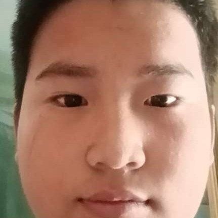 最单纯的乌龟的照片