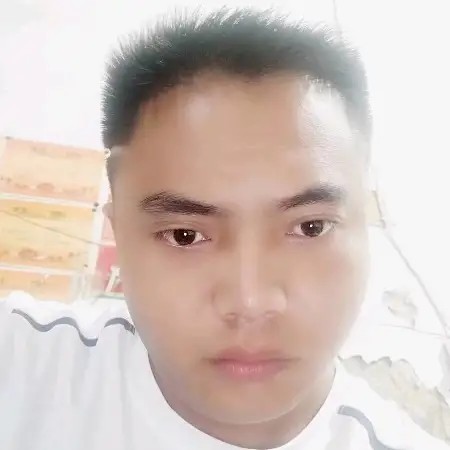 黄蜂相许瘦瘦的照片