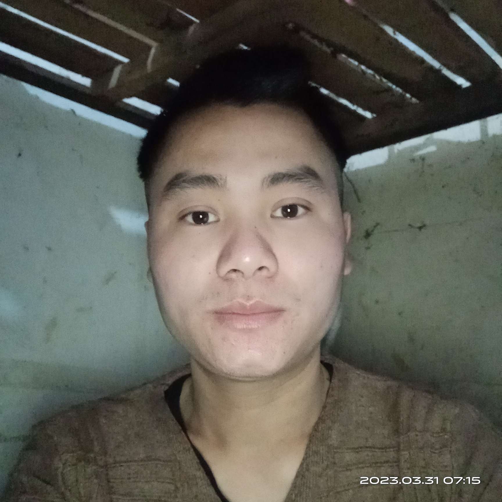 铅笔迎感性的照片