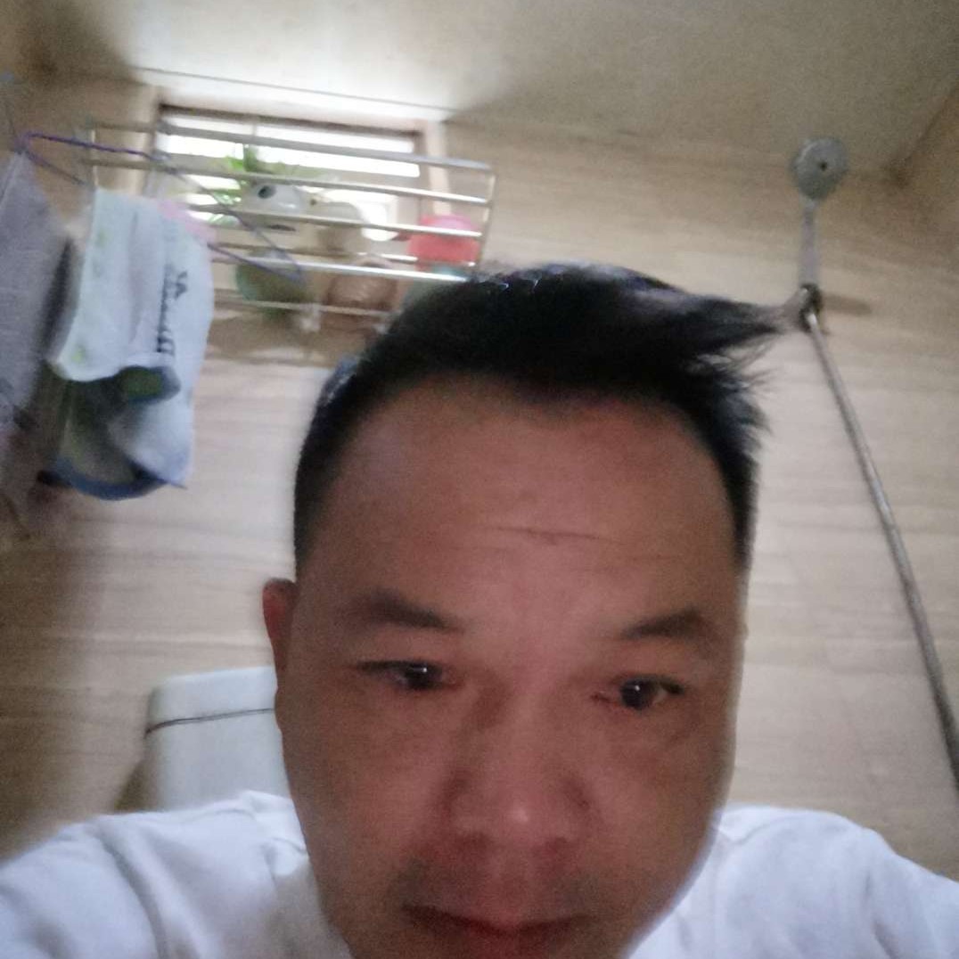 活力停止女王的照片