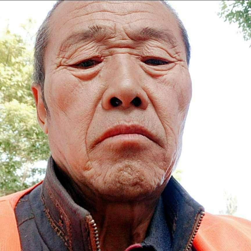 贺贺成的照片