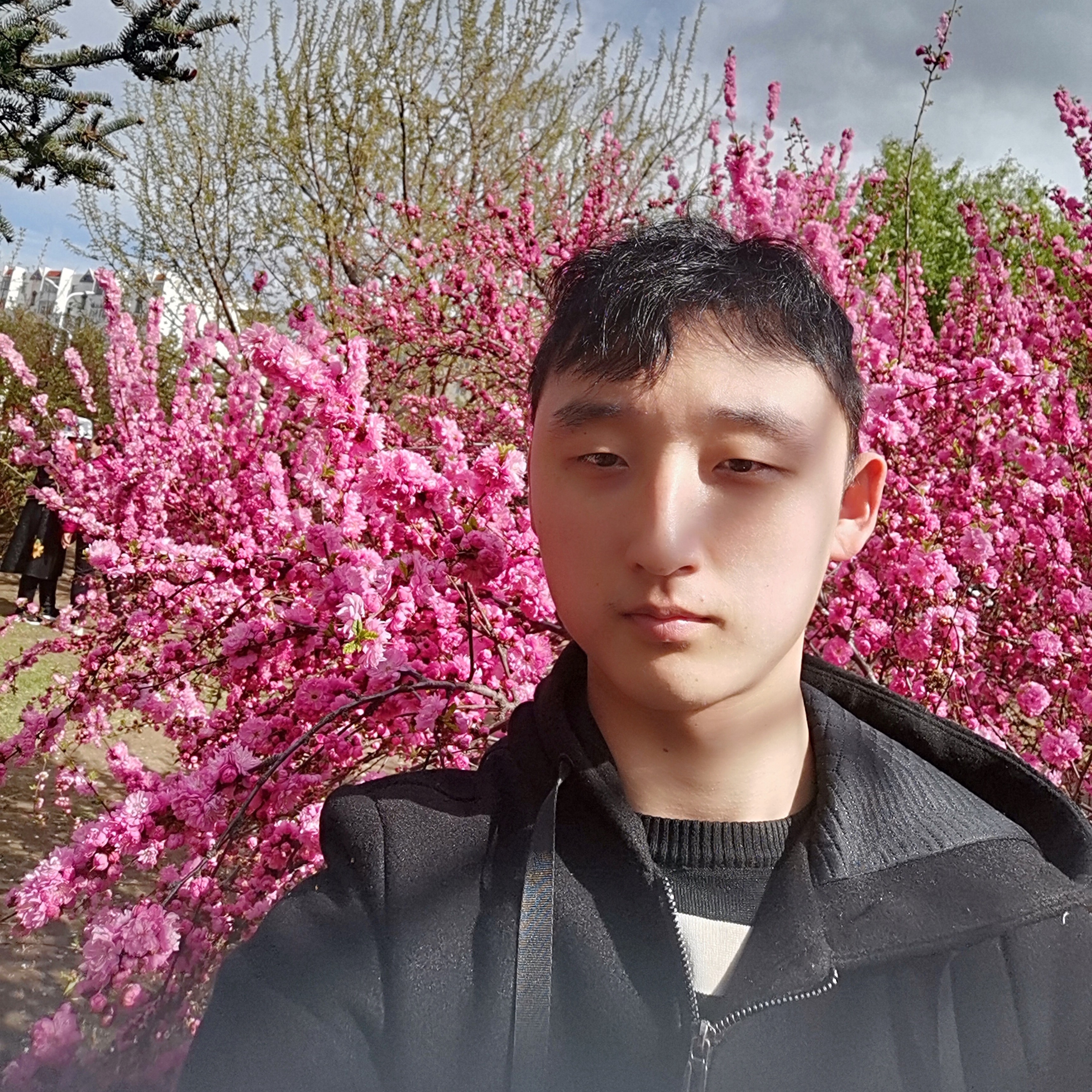 zcb宇智波斑的照片