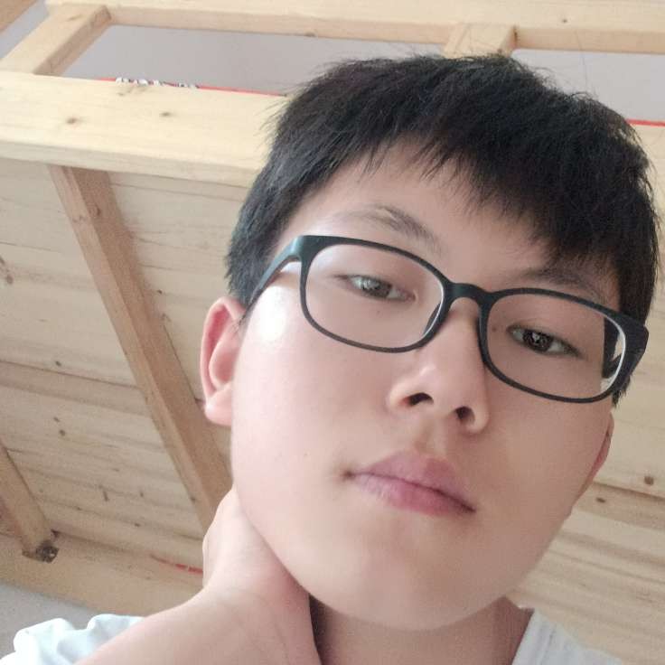 淡淡就枫叶的照片
