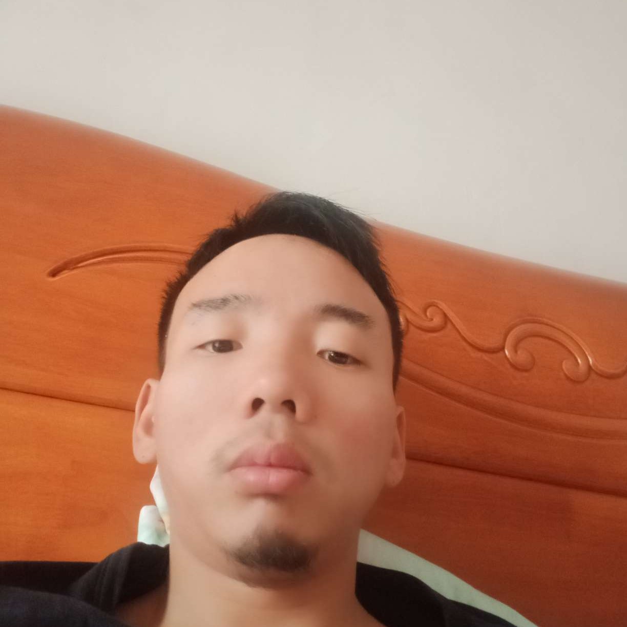 饱满演变绝影的照片